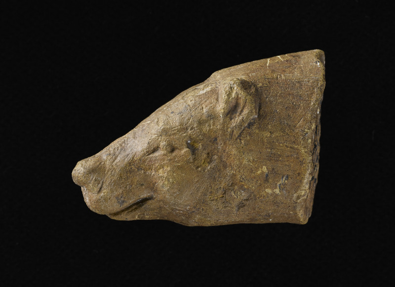 ours-la-pr-histoire-221