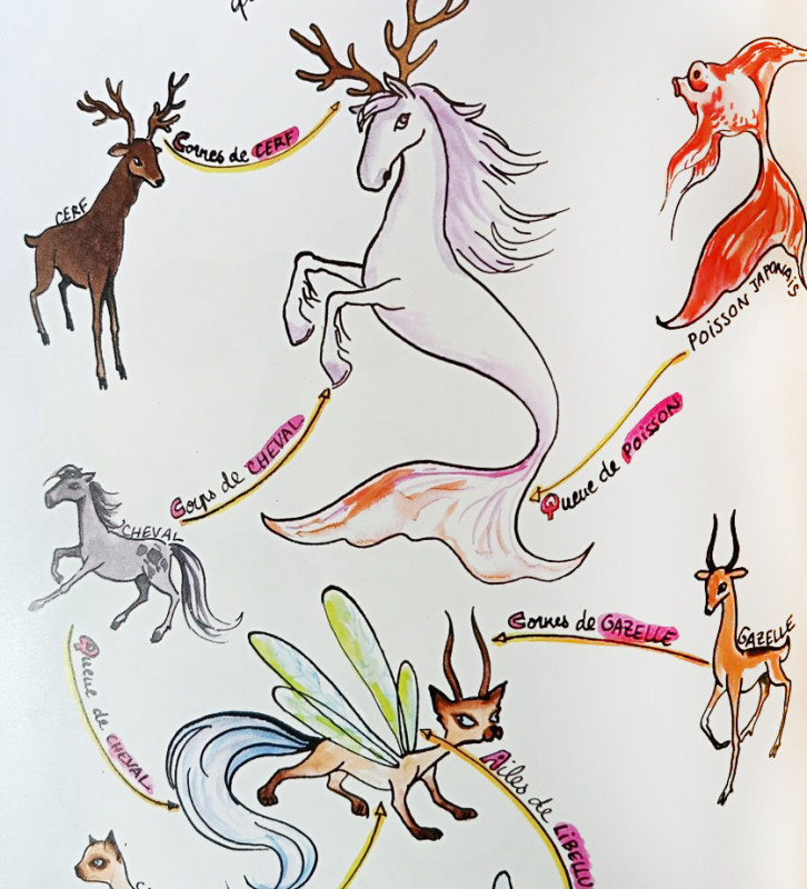 visuel-mila-kolore-1-143 visuel-mila-kolore-1-143